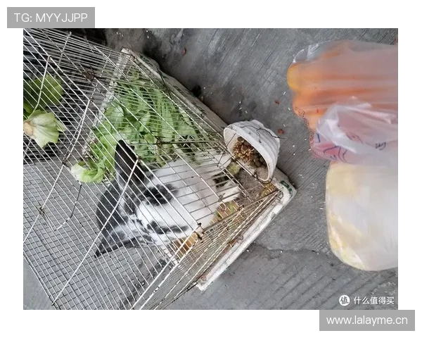 张琳芃家的狗都吃进口粮，他喝的水比我工资还贵